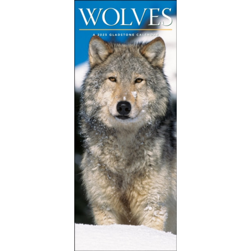 Gladstone Media Wolves Slim Calendar 2025 (häftad, eng)