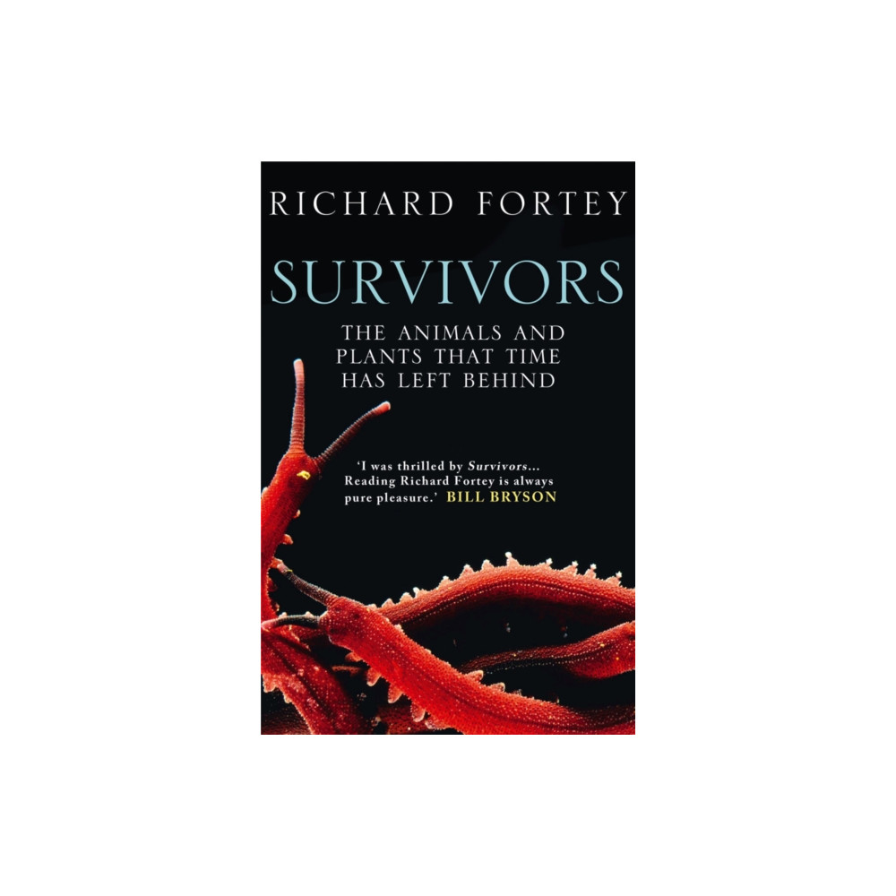 Produktbild för Survivors (häftad, eng)