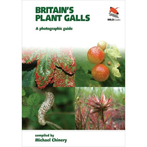 WILDGuides Britain`s Plant Galls – A Photographic Guide (häftad, eng)