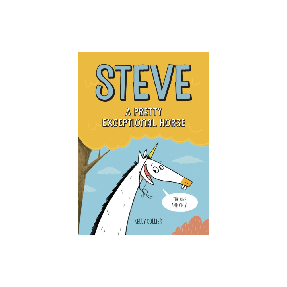 Produktbild för Steve, A Pretty Exceptional Horse (inbunden, eng)