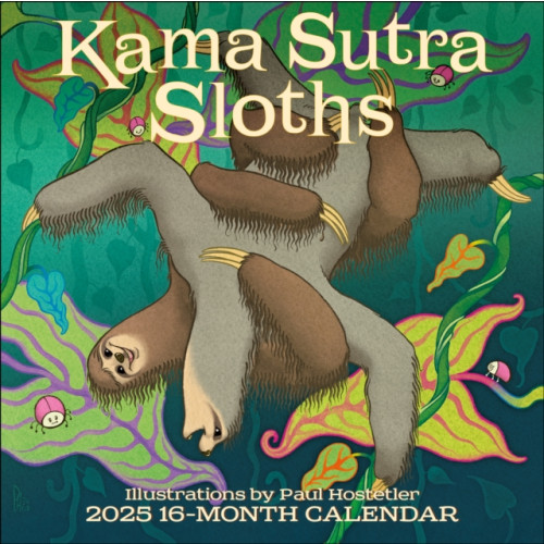 Gladstone Media Kama Sutra Sloths Square Wall Calendar 2025 (häftad, eng)