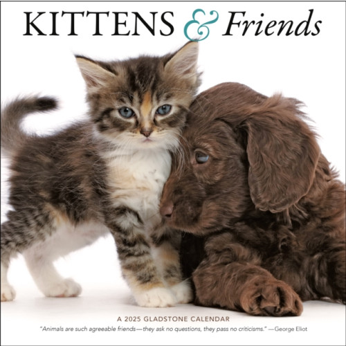 Gladstone Media Kittens & Friends Square Wall Calendar 2025 (häftad, eng)