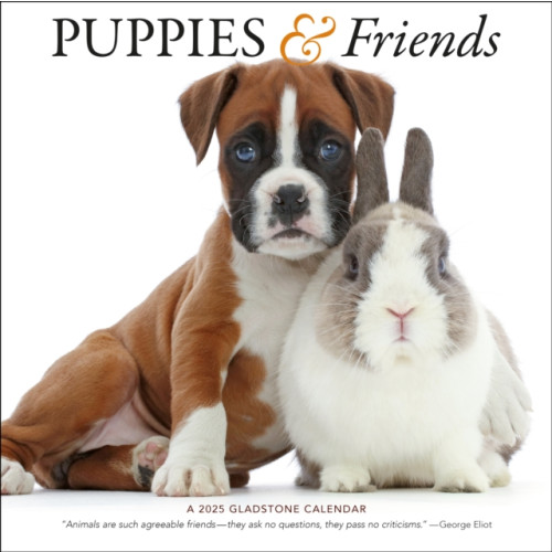 Gladstone Media Puppies & Friends Square Wall Calendar 2025 (häftad, eng)