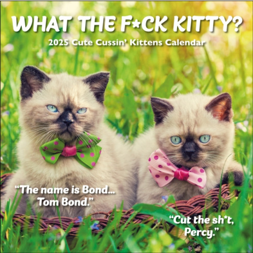 Gladstone Media What the F*ck Kitty? Square Wall Calendar 2025 (häftad, eng)