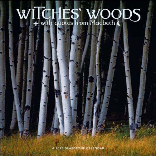 Gladstone Media Witches' Woods Square Wall Calendar 2025 (häftad, eng)