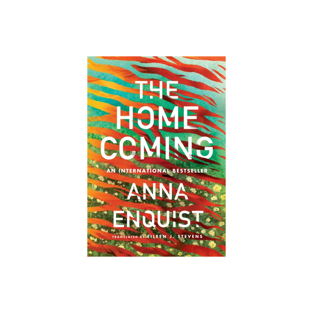 Produktbild för The Homecoming (häftad, eng)