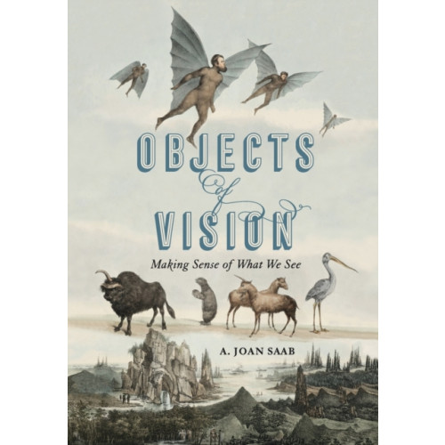 Pennsylvania State University Press Objects of Vision (häftad, eng)