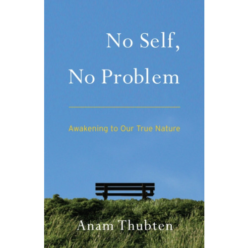 Shambhala Publications Inc No Self, No Problem (häftad, eng)