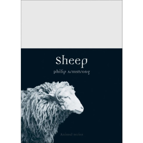 Reaktion Books Sheep (häftad, eng)