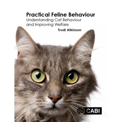 CABI Publishing Practical Feline Behaviour (häftad, eng)