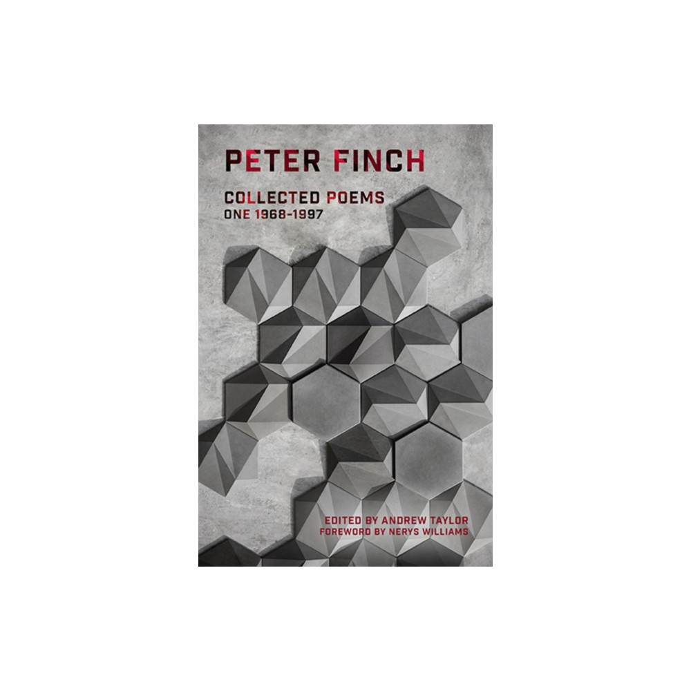 Produktbild för Collected Poems (häftad, eng)