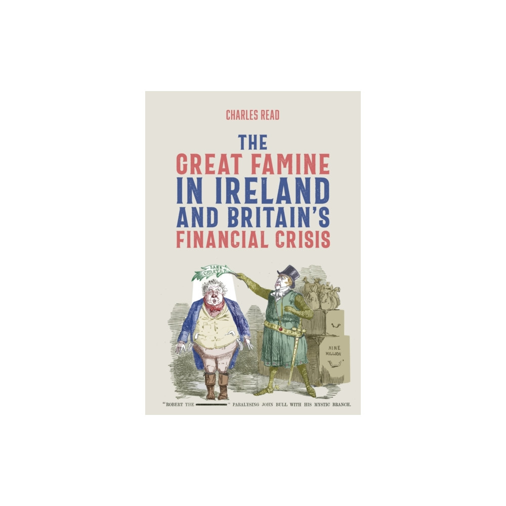 Produktbild för The Great Famine in Ireland and Britain’s Financial Crisis (häftad, eng)