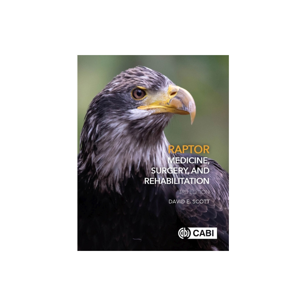 Produktbild för Raptor Medicine, Surgery, and Rehabilitation (inbunden, eng)