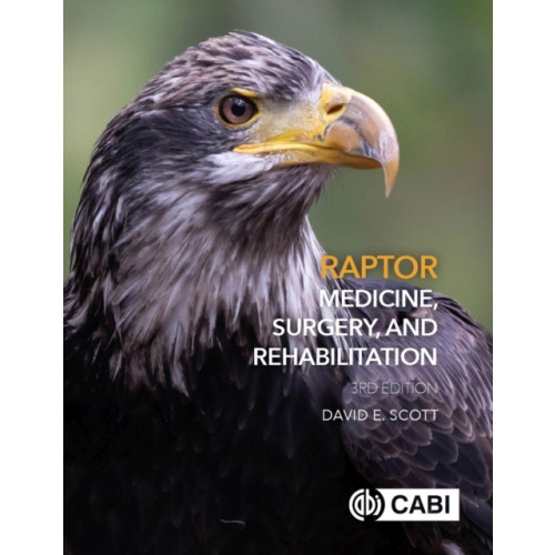 CABI Publishing Raptor Medicine, Surgery, and Rehabilitation (inbunden, eng)
