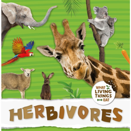 BookLife Publishing Herbivores (inbunden, eng)