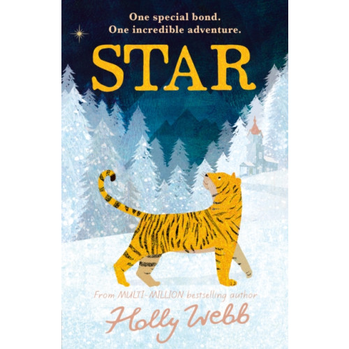 Little Tiger Press Group Star (häftad, eng)