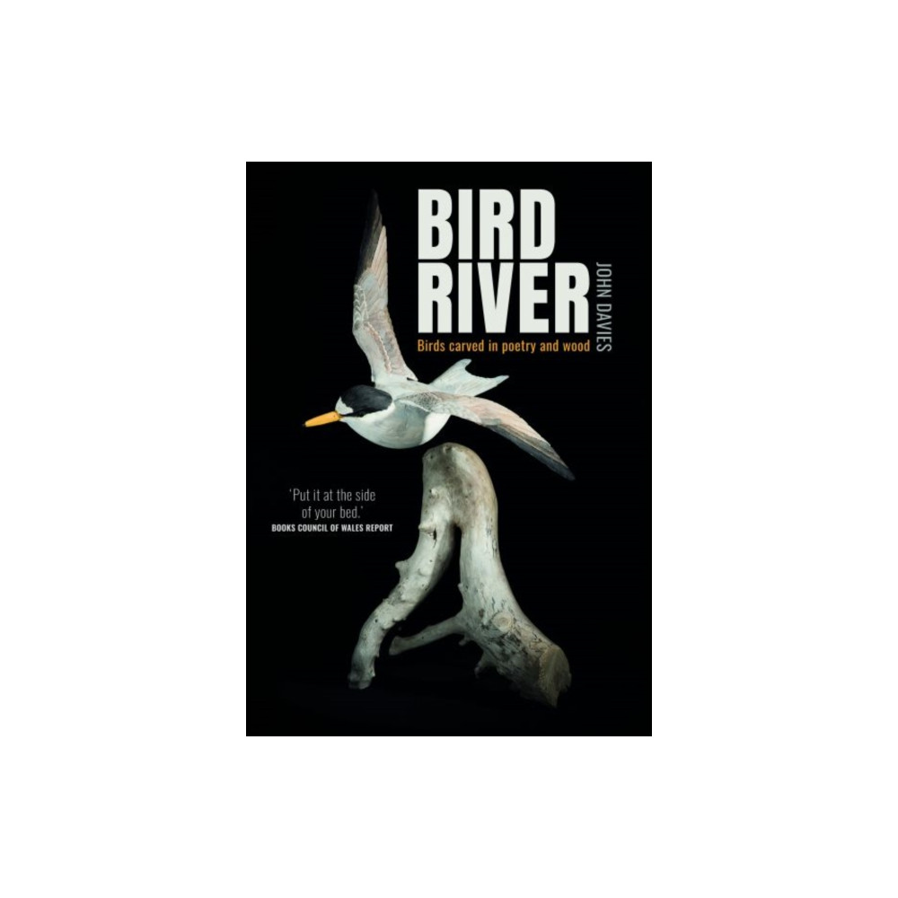 Produktbild för Bird River (häftad, eng)