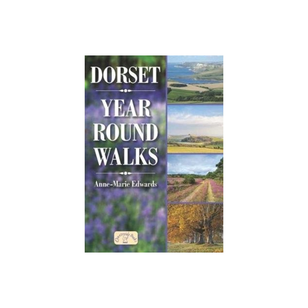 Produktbild för Dorset Year Round Walks (häftad, eng)