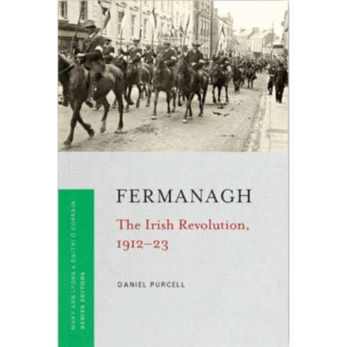 Four Courts Press Ltd Fermanagh (häftad, eng)