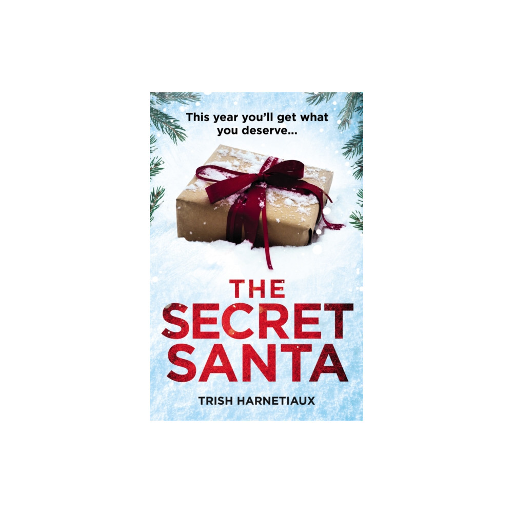 Produktbild för The Secret Santa (häftad, eng)