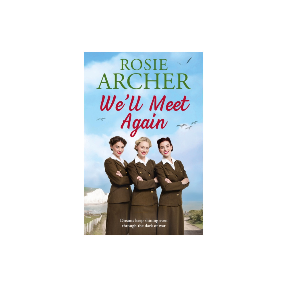 Produktbild för We'll Meet Again (häftad, eng)
