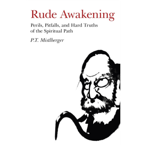 Collective Ink Rude Awakening – Perils, Pitfalls, and Hard Truths of the Spiritual Path (häftad, eng)