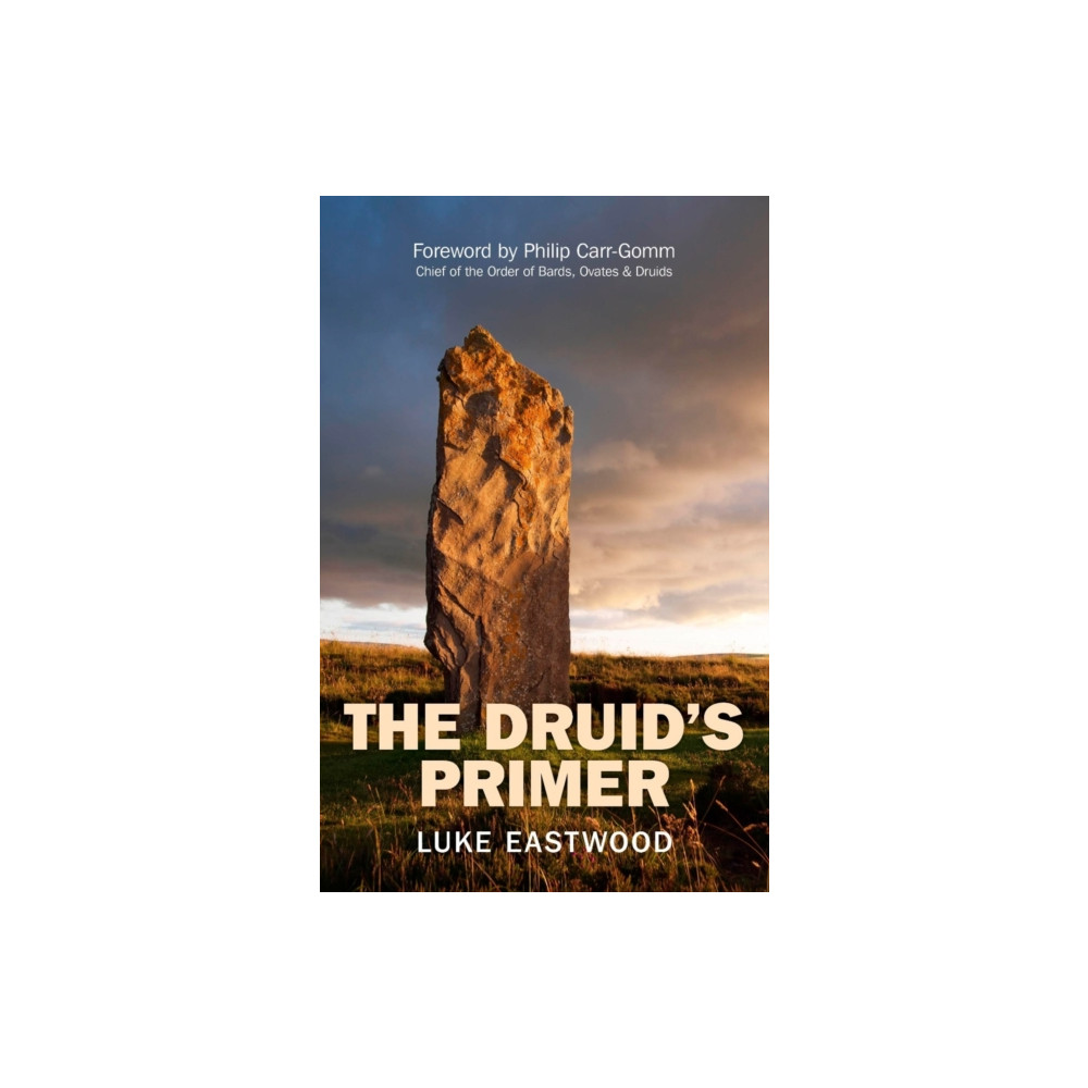 Produktbild för Druid`s Primer, The (häftad, eng)