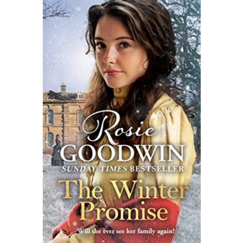 Zaffre The Winter Promise (inbunden, eng)