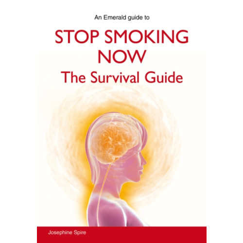 Straightforward Publishing Stop Smoking Now (häftad, eng)