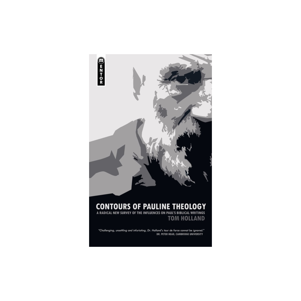 Produktbild för Contours of Pauline Theology (häftad, eng)