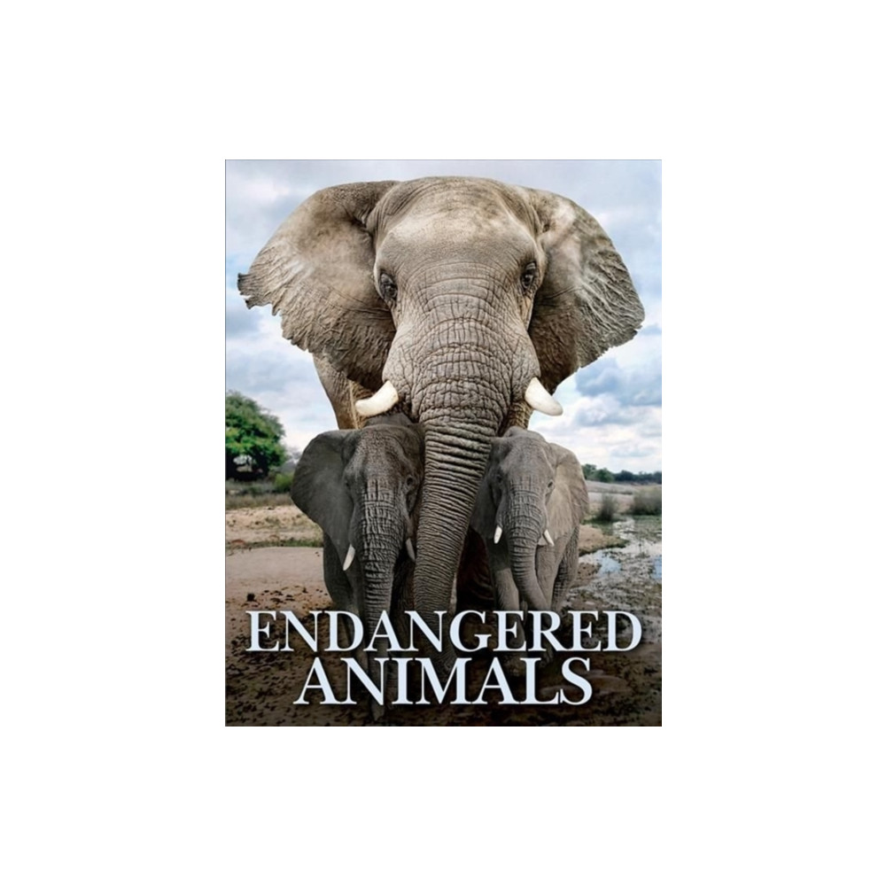 Produktbild för Endangered Animals (inbunden, eng)