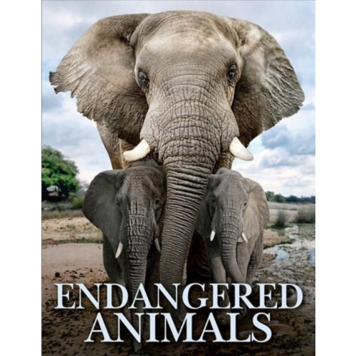 Amber Books Ltd Endangered Animals (inbunden, eng)