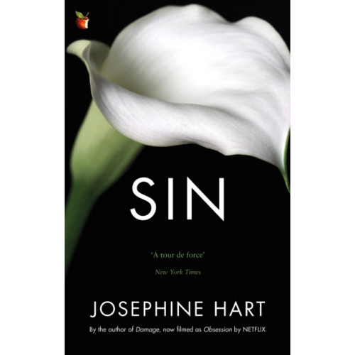 Little, Brown Book Group Sin (häftad, eng)