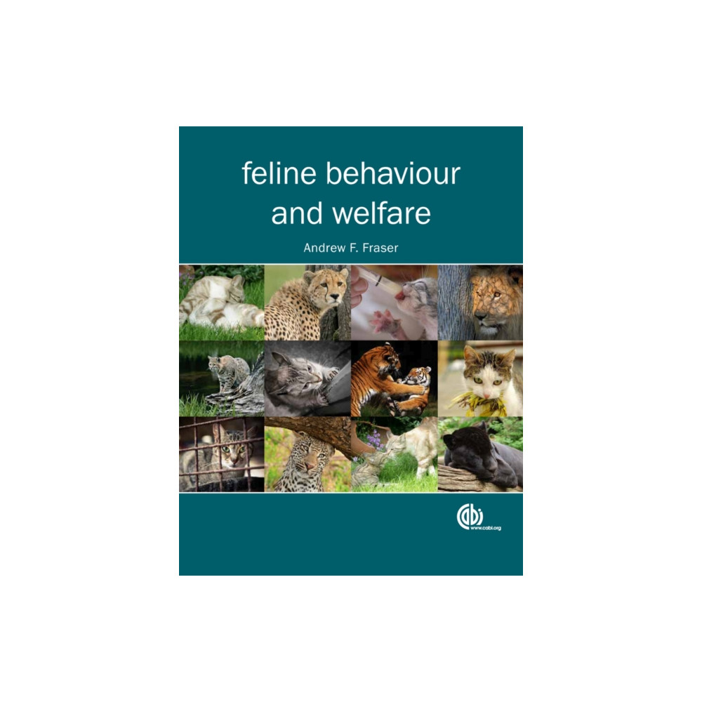 Produktbild för Feline Behaviour and Welfare (häftad, eng)