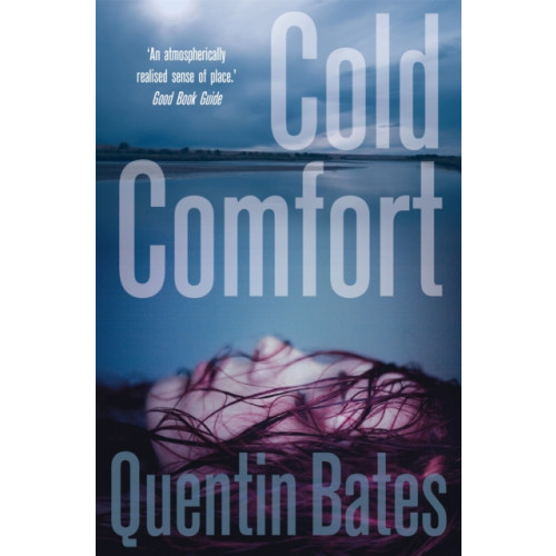 Little, Brown Book Group Cold Comfort (häftad, eng)