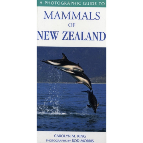 Upstart Press Ltd Photographic Guide To Mammals Of New Zealand (häftad, eng)