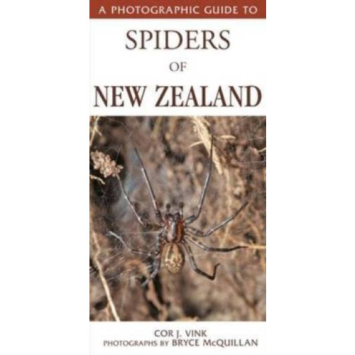 Upstart Press Ltd Photographic Guide To Spiders Of New Zealand (häftad, eng)