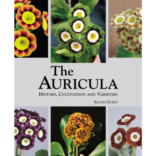 ACC Art Books Auricula: History, Cultivation and Varieties (inbunden, eng)