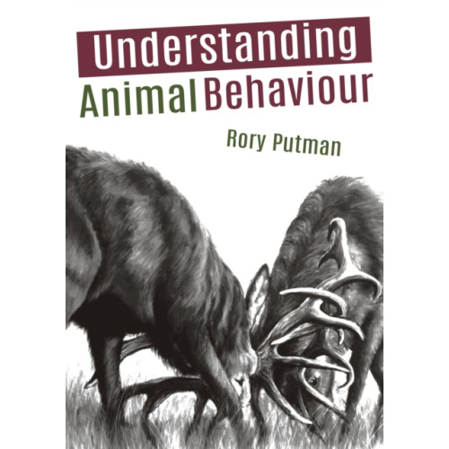 Whittles Publishing Understanding Animal Behaviour (häftad, eng)