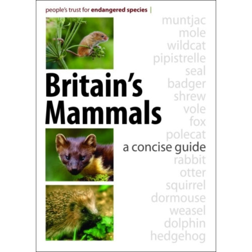 Whittet Books Ltd Britain's Mammals (häftad, eng)