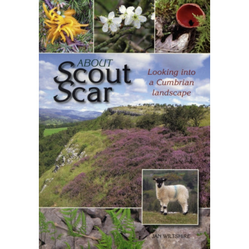 Carnegie Publishing Ltd About Scout Scar (häftad, eng)