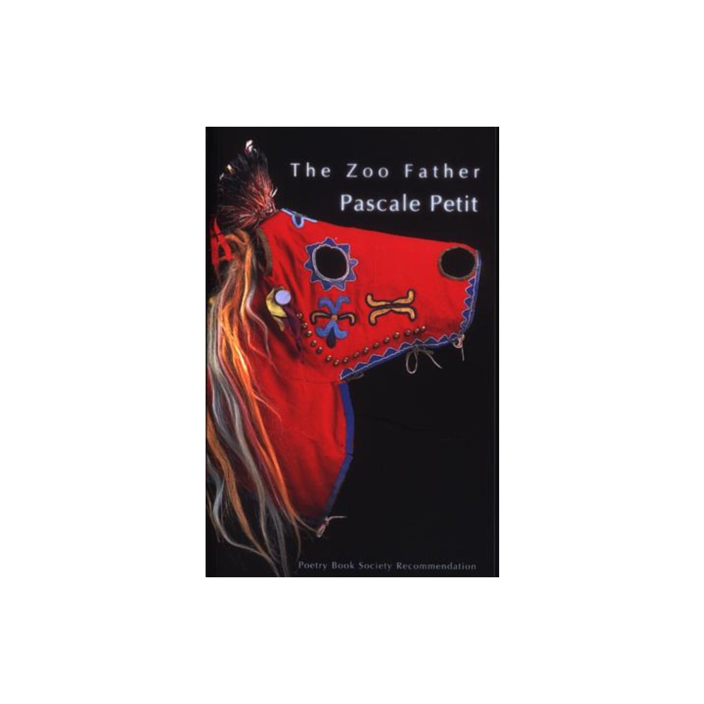 Produktbild för The Zoo Father (häftad, eng)