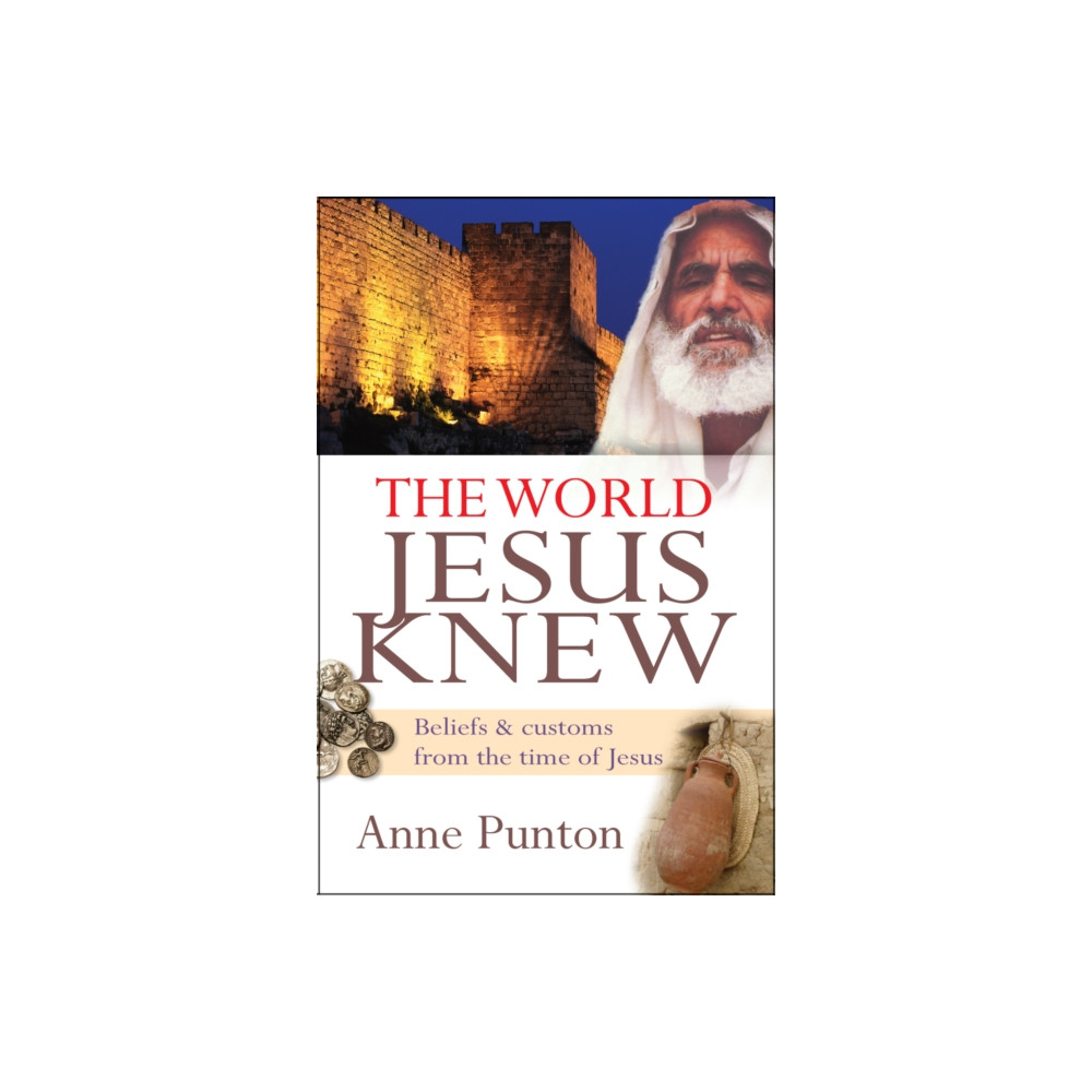 Produktbild för The World Jesus Knew (häftad, eng)