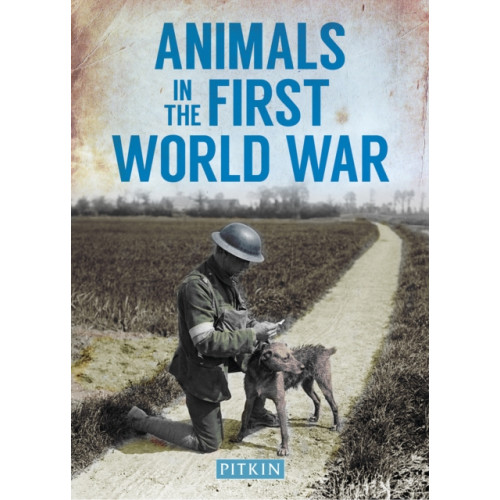 Batsford Ltd Animals in the First World War (häftad, eng)