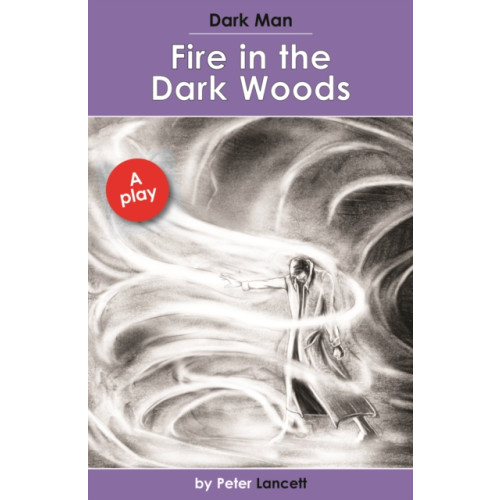 Ransom Publishing Fire in the Dark Woods (häftad, eng)