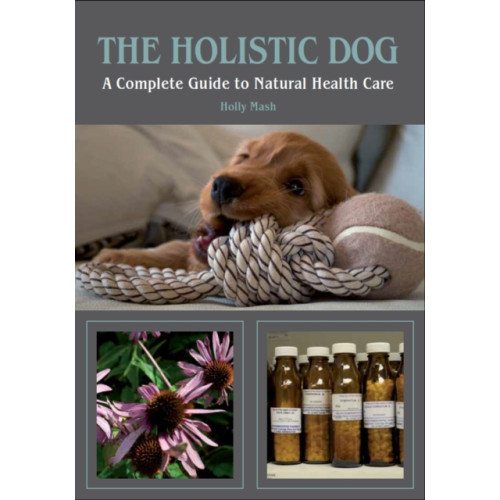 The Crowood Press Ltd The Holistic Dog (häftad, eng)