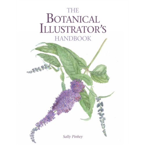 The Crowood Press Ltd The Botanical Illustrator's Handbook (häftad, eng)