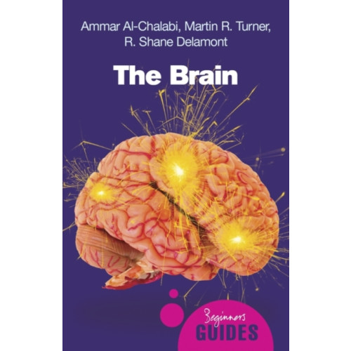 Oneworld Publications The Brain (häftad, eng)