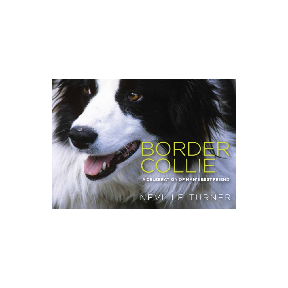 Produktbild för Border Collie (inbunden, eng)