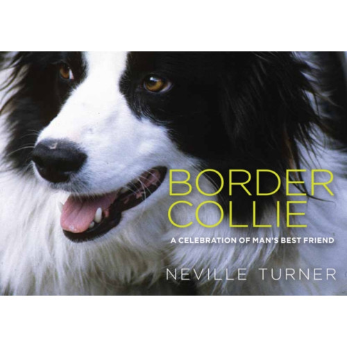 Dalesman Publishing Co Ltd Border Collie (inbunden, eng)